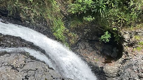 Brisbane Excursión de un día a Springbrook y la Selva Tropical del