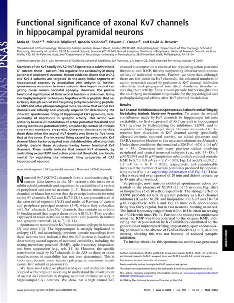 Functional Significance Of Axonal Kv7 Channels In Hippocampal Pyramidal