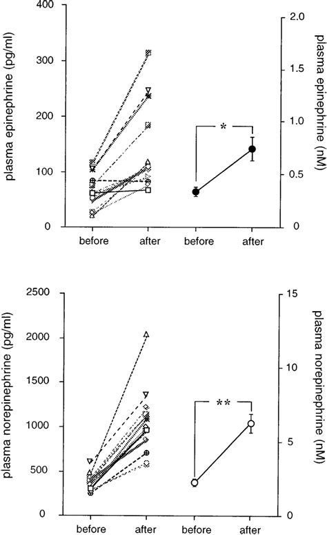 Effect Of Acute Aerobic Exercise On Plasma Catecholamines Individual