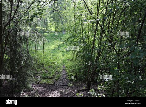 downward path  res stock photography  images alamy
