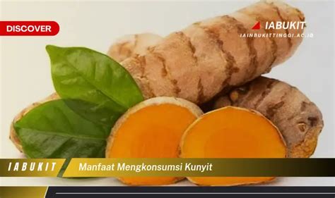 Temukan 7 Manfaat Kunyit Yang Wajib Kamu Tahu Discover