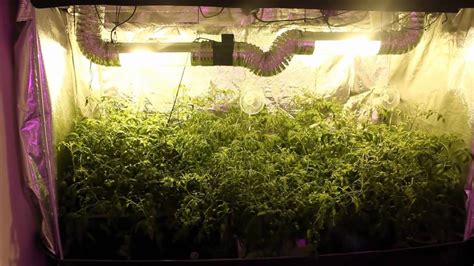 Grow Tent Hydroponic System SuperCloset Hydroponics YouTube