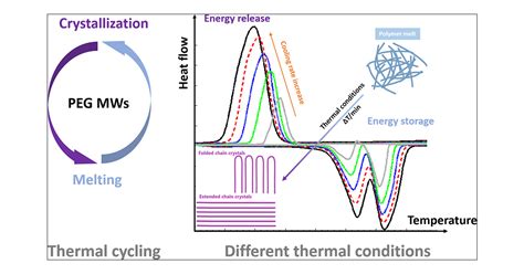 Cycling Stability Of Poly Ethylene Glycol Of Six Molecular Off