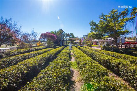 【南投景點】茶二指故事館｜巨無霸珍奶、告白牆、日式造景超好拍！附沙坑、戲水池，被茶園包圍茶香環繞的觀光工廠！ 來飽寶家ba