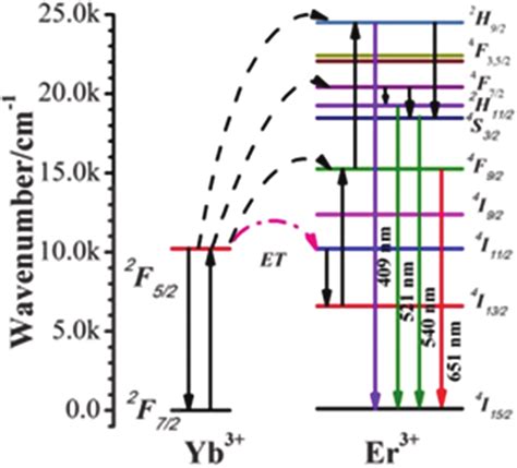 Schematic Energy Level Diagrams Of The Yb 3 Er 3 Dopant Ions And