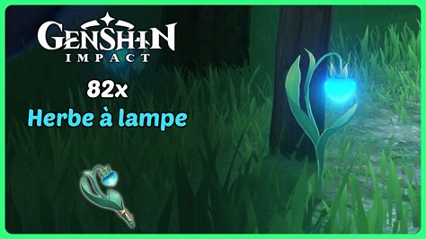 Herbe à lampe Emplacement et Routes Genshin Impact YouTube