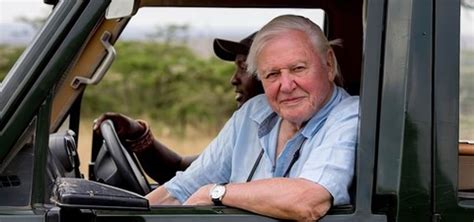 David Attenborough A Life On Our Planet Streaming