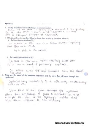 Anatomy And Physiology Ii Senses Lab Kin L Studocu