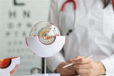 Top view of ophthalmologist doctor holding part of eye model, oculus