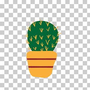 Cactaceae Drawing Square Png Clipart Algebra Cactaceae Cactus