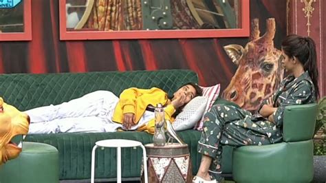 Bigg Boss Live Priyanka Chahar Choudhary Ke Liye Ankit Gupta Ne