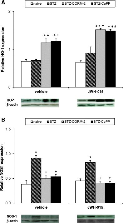 Effects Of CORM 2 And CoPP Treatments Alone Or Combined With JWH 015 On