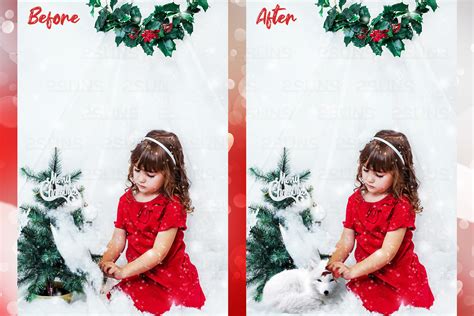 Christmas Digital Backdrop Snow Globe Photo Overlay By 2SUNS