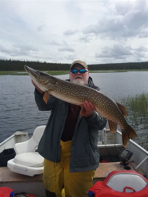 Wollaston Lake S Minor Bay Lodge Monster Pike At Mi Flickr