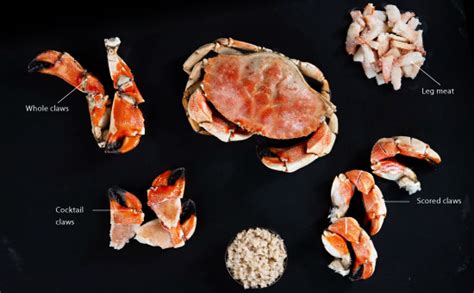 Jonah Canada Crab - Premium Seafood Delicacy