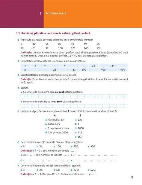 Matematica Caiet Pentru Vacanta De Vara Clasa A Vii A Ioan Balica