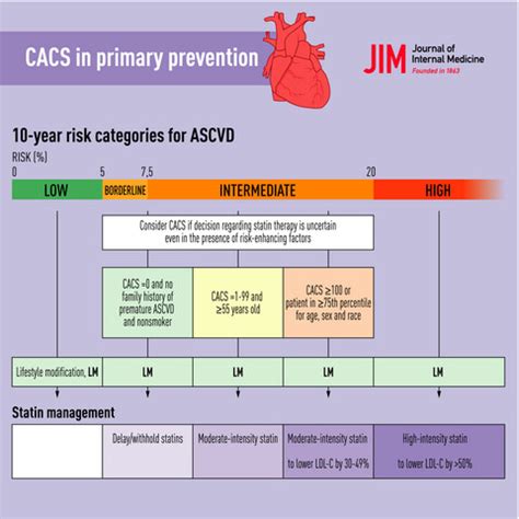 Five Ten And A Half To Cm On Sale Emergencydentistry