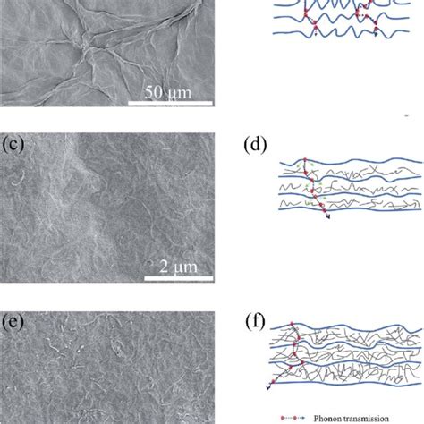 The Top View SEM Images For RGO RGO CNT 3 RGO CNTs 20 A C And E