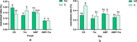 Effects Of The Synergistic Treatments Of Arbuscular Mycorrhizal Fungi