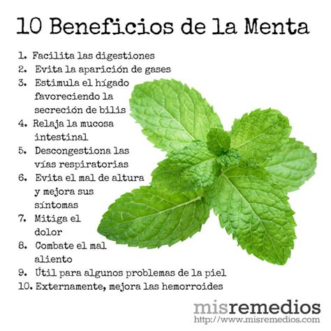 Menta Mis Remedios