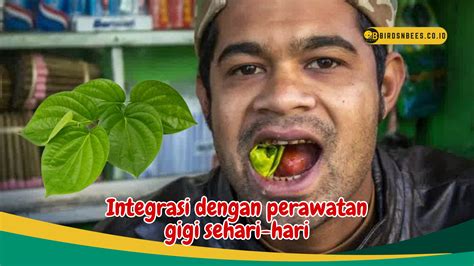 Mencegah Pembentukan Plak Gigi Ketahui Manfaat Luar Biasa Daun Sirih