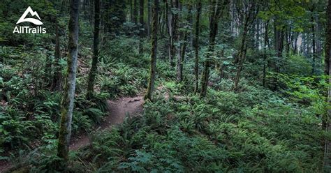 Best hikes and trails in Puyallup | AllTrails