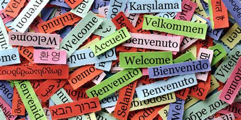 World Languages - Anne Arundel Community College