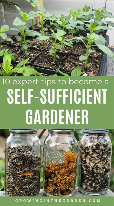 Self Sufficient Gardening Is Developing Skills And Putting Systems In Place To Help Your Garden