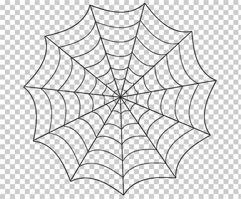 Spider Web Line Drawing at PaintingValley.com | Explore collection of ...