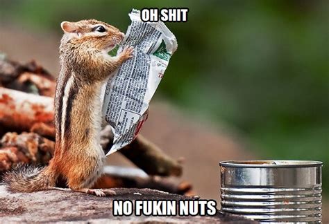 No Nuts Whats Meme Funny Pinterest