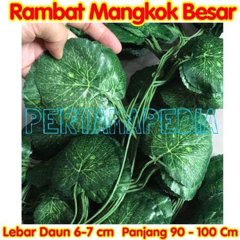 Harga Daun Rambat Palsu Plastik Murah Terbaru 2024 Hargano