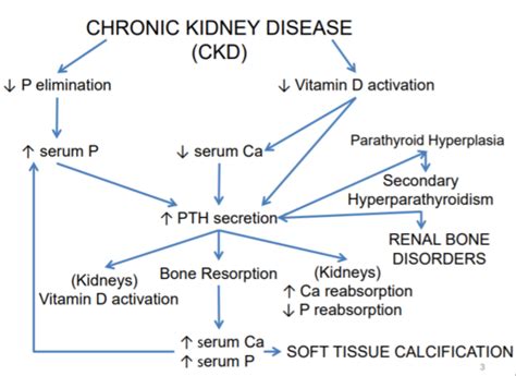 Session Ckd Mineral And Bone Disorders Flashcards Quizlet