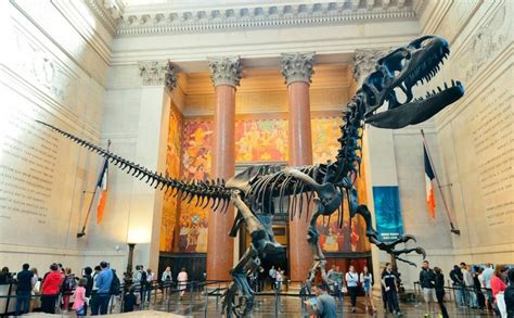 6 Best Natural History Museums In The World