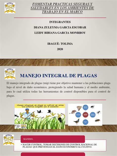 Manejo Integral De Plagas Pdf Plaga Organismo Plantas