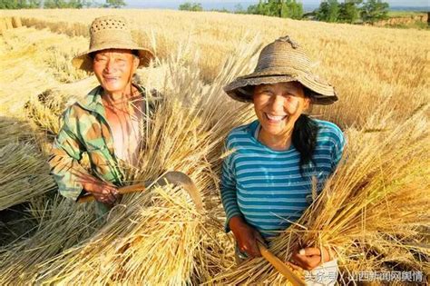 豐收「節慶」 長治「點睛」 每日頭條