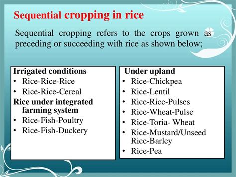 Rice Based Cropping System