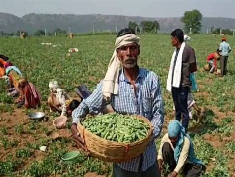 Organizing A Workshop For Pea Growers Vehicle Rally Will Come Out For