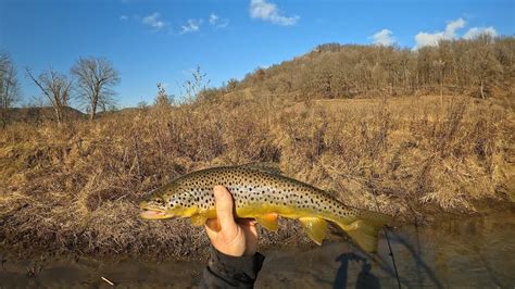 Wisconsin Trout Fishing 2112024 Youtube