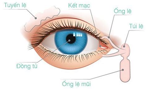 Indication of conjunctival suture | Vinmec