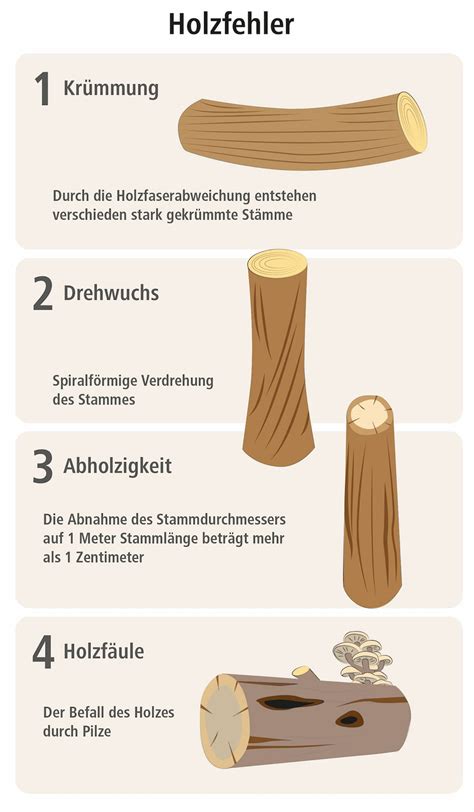 Hilfreich für Holzkäufer Holzsortierung und Holzqualität