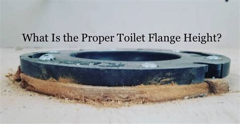 Toilet Flange Height Tile Floor – Flooring Guide by Cinvex