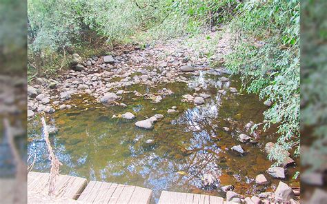 Calor E Baixo Volume De Chuvas Afetam Agricultura E Preocupam