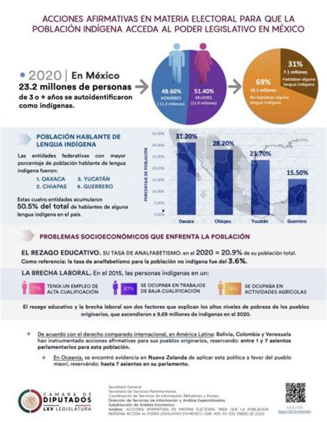 Cámara De Diputados Siae Infografía Acciones Afirmativas En Material Electoral Para Que La