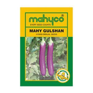 Mahyco Vegetable Crops Brinjal Hybrid