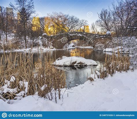 Gapstow Bridge In Central Park After Snow Storm Stock Photo Image Of