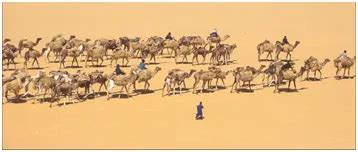grade  term   kingdom  mali   city  timbuktu