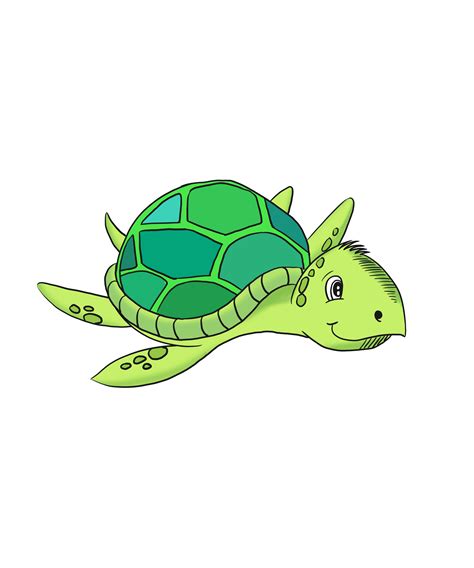 Turtle Drawing Png