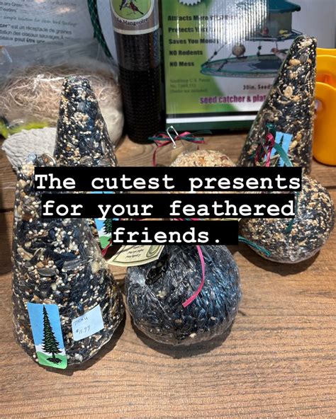 Birders Bird Supply and Gift Store | London ON