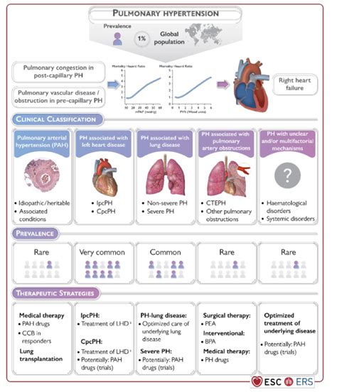 About Ph Pulmonary Hypertension