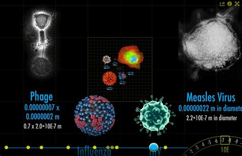 Magnifying The Universe Visualise The Big And The Small